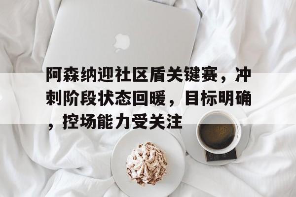 阿森纳迎社区盾关键赛，冲刺阶段状态回暖，目标明确，控场能力受关注的简单介绍-正规平台